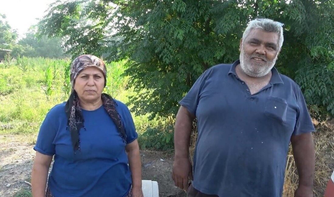 Osmaniye’nin Toprakkale ilçesinde tekrarlanan seçimlerde eşinin yerine aday olan Dursun