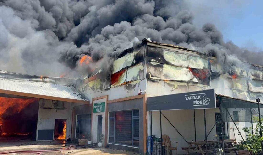 Antalya’nın Gazipaşa ilçesi Koru Mahallesi’nde bulunan Yaprak Fide Üretim Tesisi’nde,