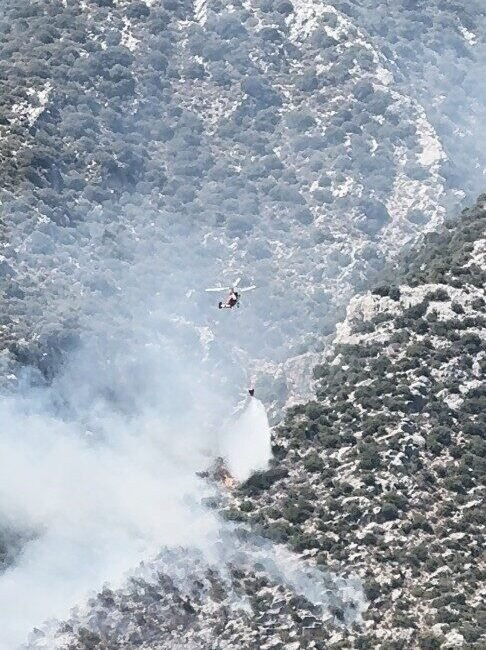 Antalya’nın Finike ilçesinde çıkan orman yangınına havadan ve karadan müdahalede