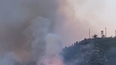Antalya’nın Gazipaşa ilçesinde çıkan ve yaklaşık 3 saatlik çalışmayla kontrol