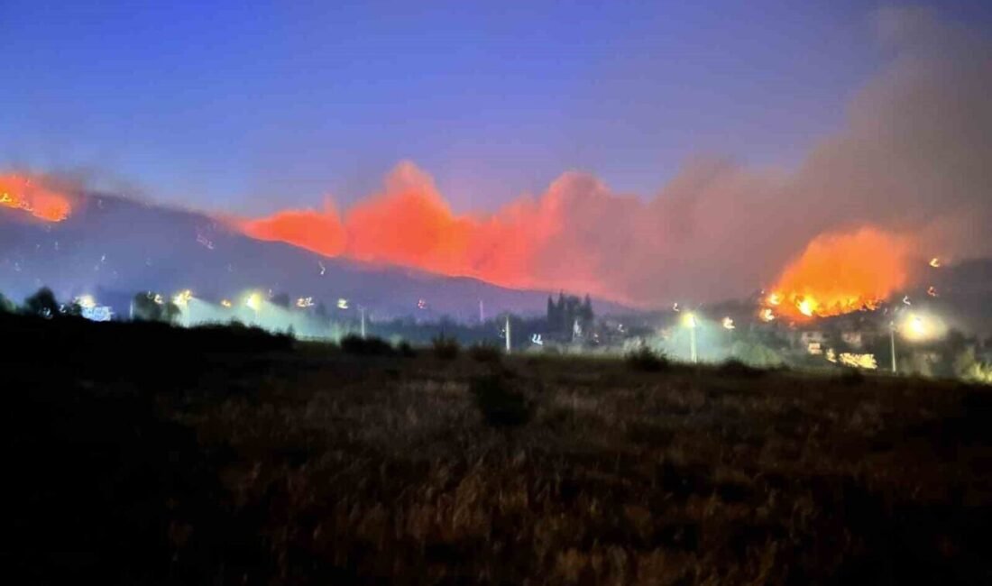 Hatay’ın Antakya ilçesine bağlı Karaali Mahallesi’nde çıkan orman yangını 12.