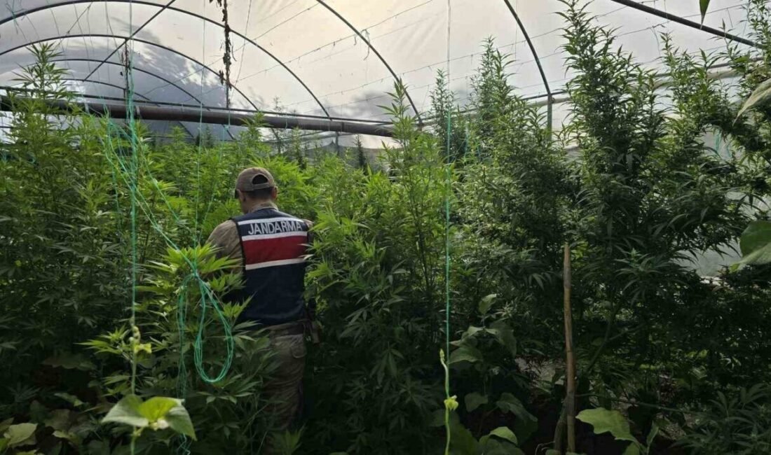 Hatay’da jandarma ekipleri tarafından Mayıs ayında, 83 şahsın evinde ve