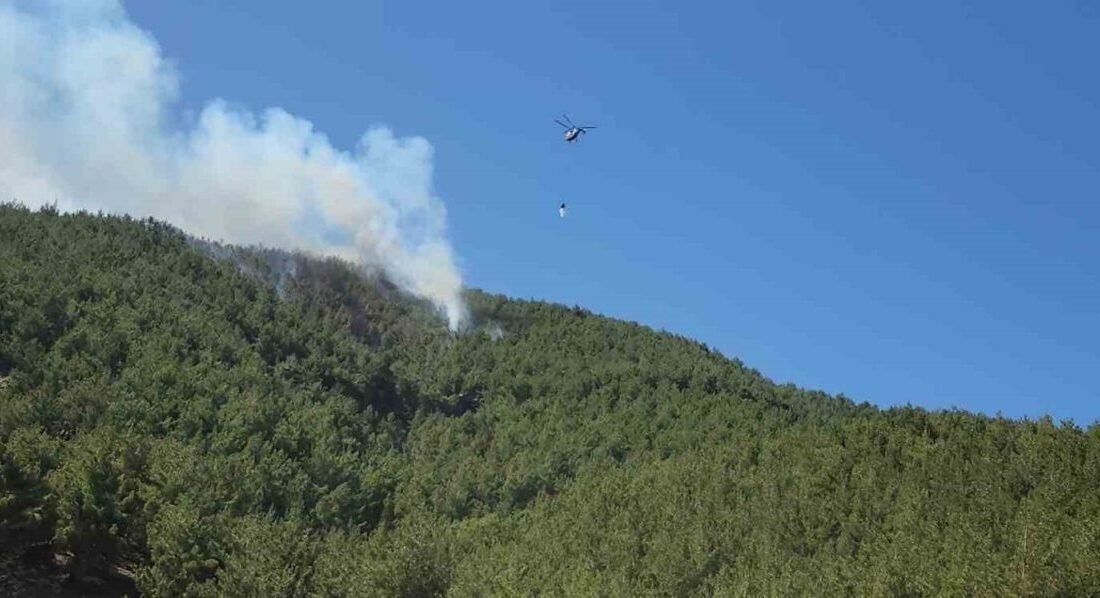 Hatay’da ormanlık alanda çıkan yangın ekiplerin havadan ve karadan müdahalesiyle