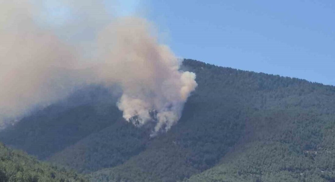Hatay’da ormanlık alanda çıkan yangına ekipler müdahale etmeye başladı. Yangın,