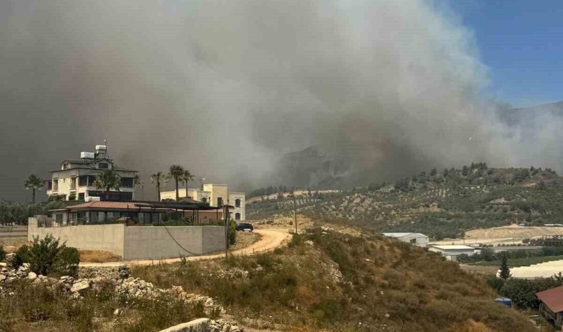 Hatay’da kent merkezine yakın ormanlık alanda yangın çıktı. Edinilen bilgiye