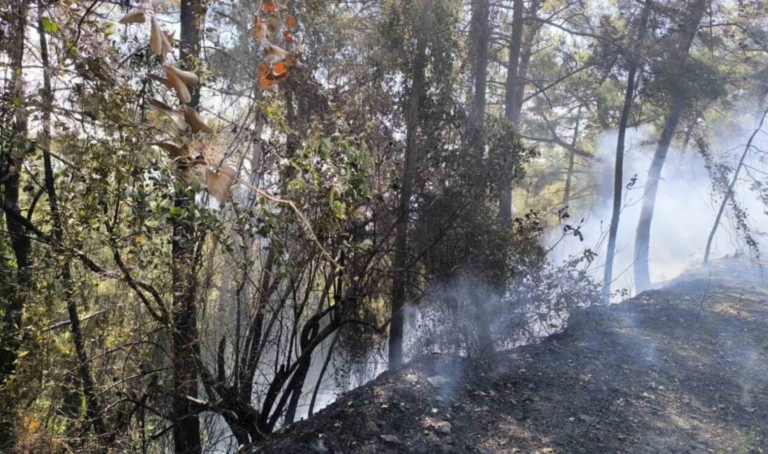 Hatay’ın Dörtyol ilçesi Kırmızıburun ile Çökek Yaylası arasında çıkan orman