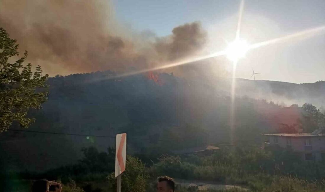 Hatay’da ormanlık alanda çıkan yangına havadan ve karadan müdahale ediliyor.