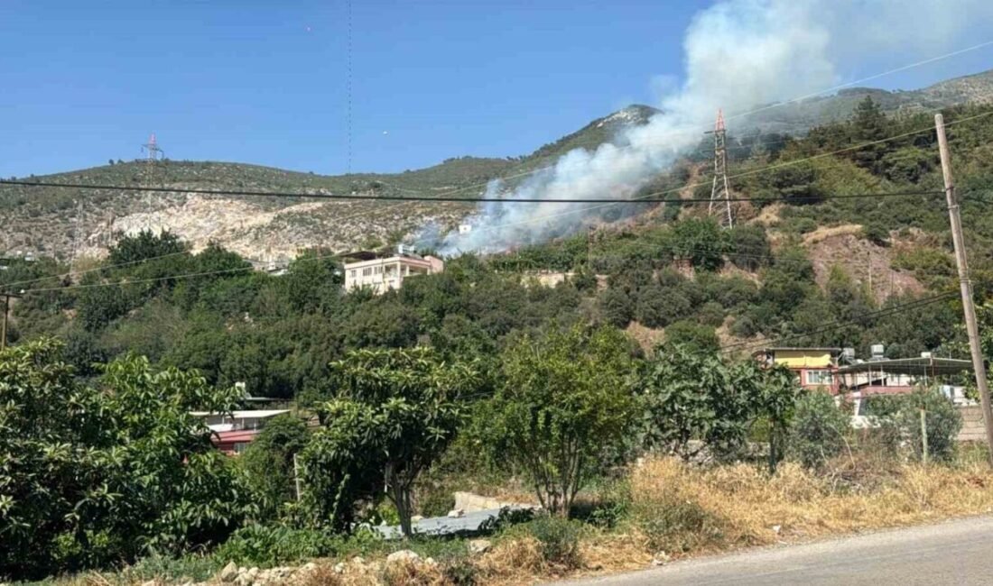 Hatay’ın İskenderun ilçesinde ormanlık alanda çıkan yangın, ekiplerin müdahalesiyle büyümeden