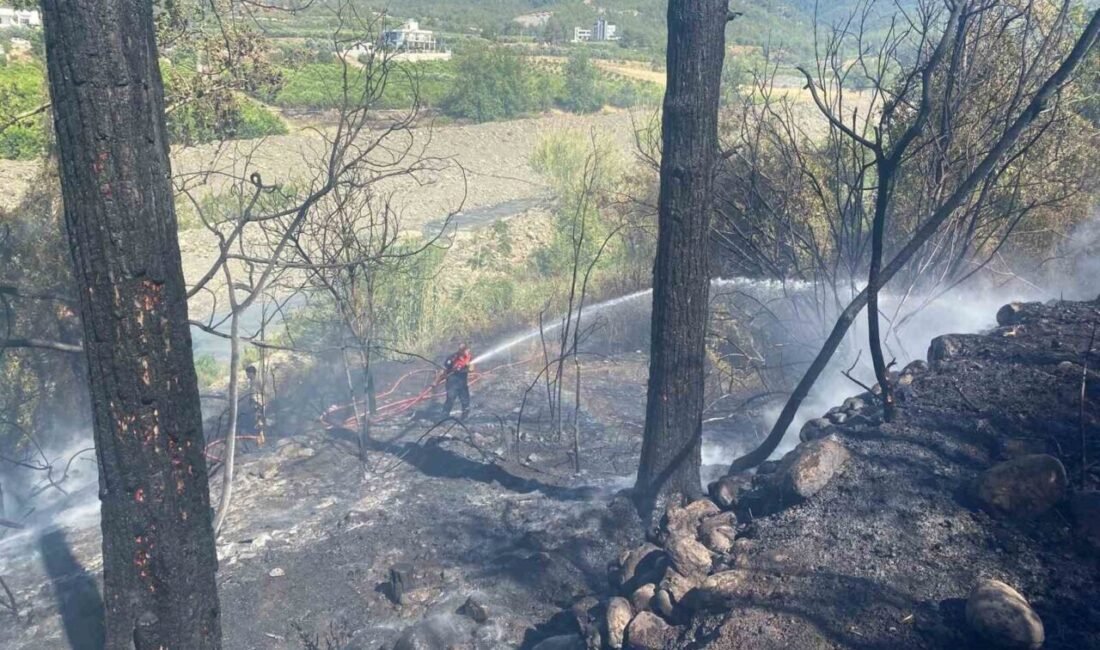 Hatay’ın Arsuz ilçesinde ormanlık alanda çıkan yangın, itfaiye ekiplerinin müdahalesiyle