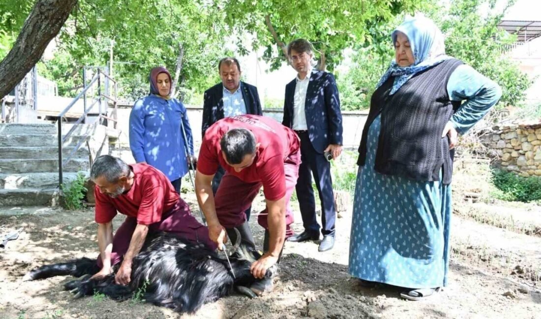 Isparta Belediyesi, 45 mahalle muhtarlığıyla belirlenen ve kurbanlıklarını alan ancak