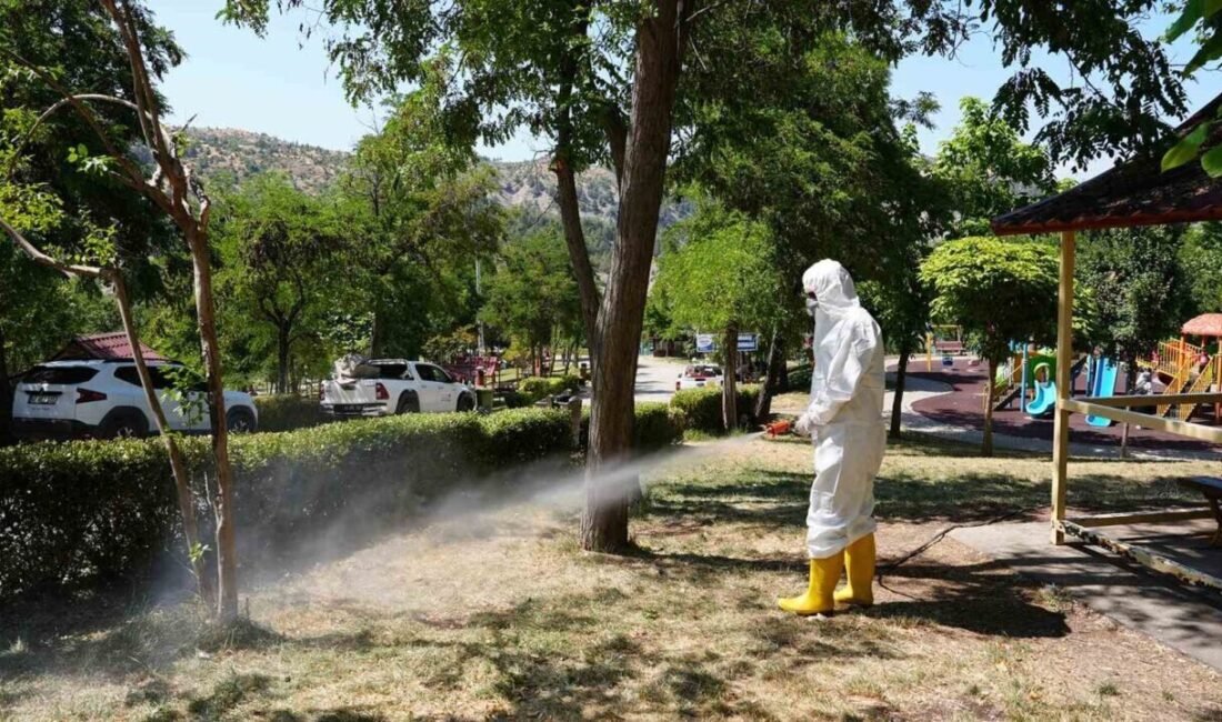 Kahramanmaraş Büyükşehir Belediyesinin, yaz mevsimiyle birlikte artış gösteren kene ve