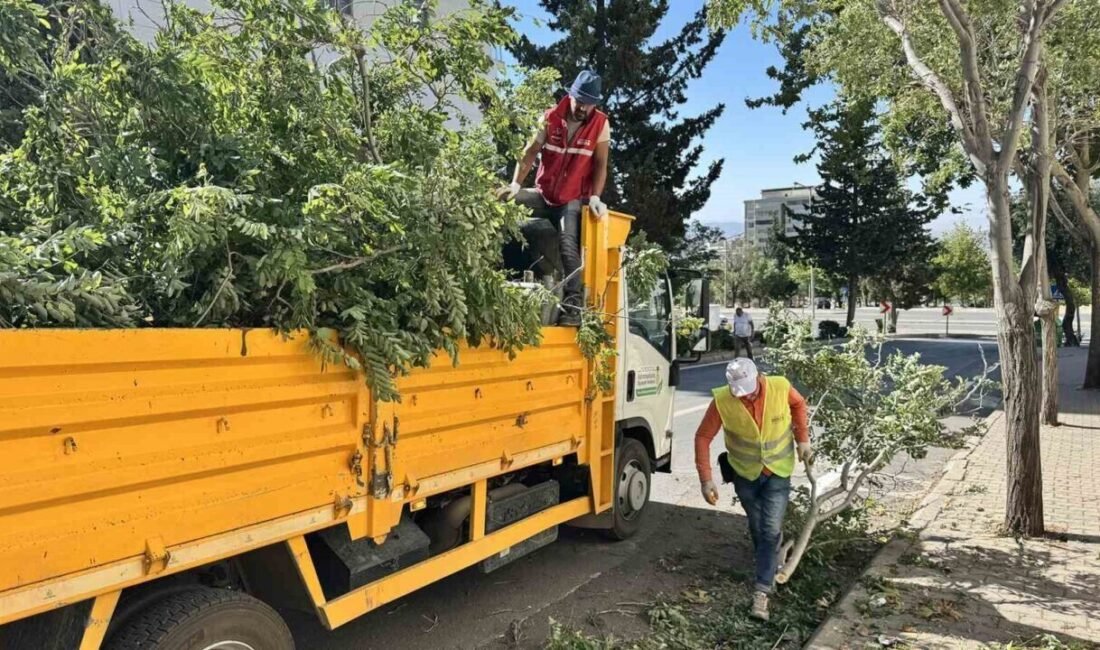Kahramanmaraş Büyükşehir Belediyesi, şehir genelinde etkili olan ve yer yer