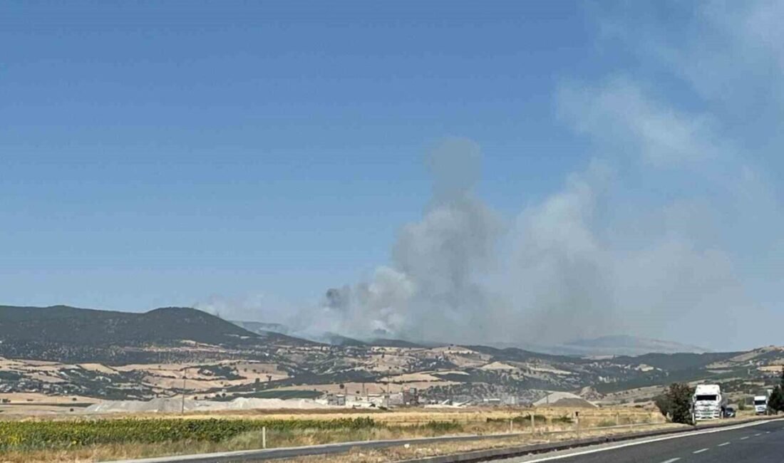 Kahramanmaraş’ın Türkoğlu ilçesinde orman yangınını söndürme çalışmaları 30 saattir sürerken,
