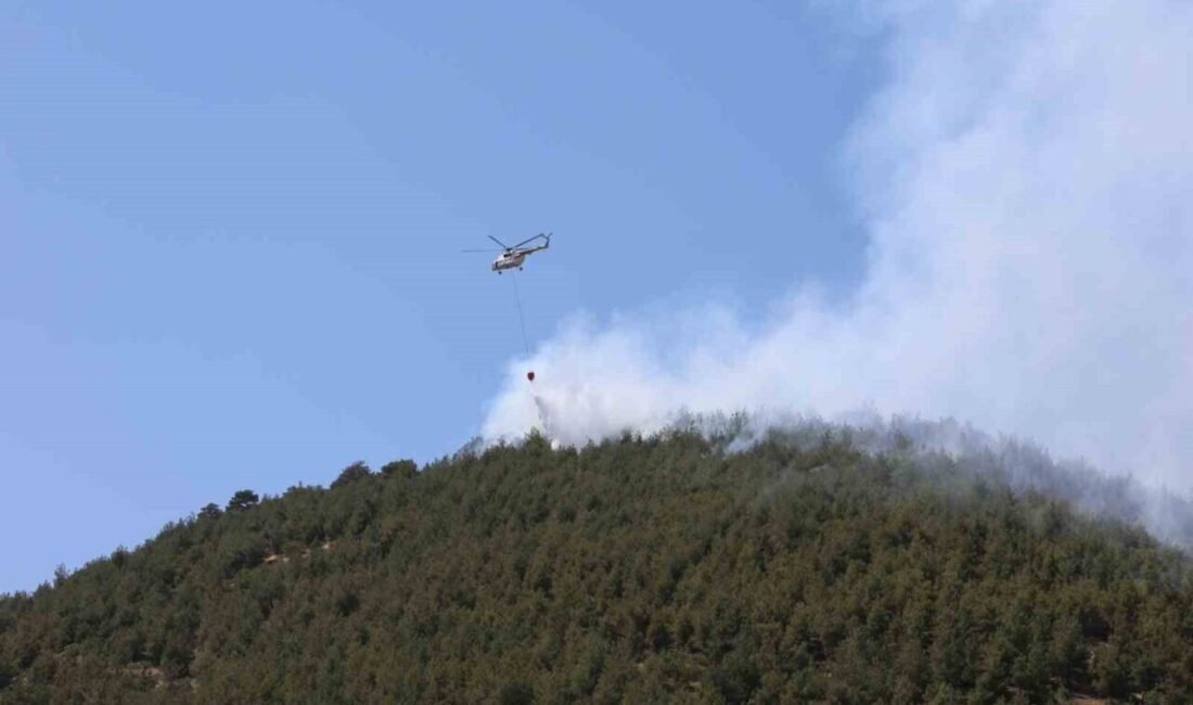 Kahramanmaraş’ın Türkoğlu ilçesinde dünden itibaren devam eden orman yangını kontrol