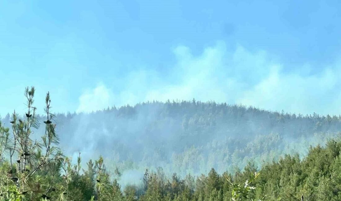 Kahramanmaraş’ta anız yangını sonrası ormanlık alana sıçrayan yangın kontrol altına