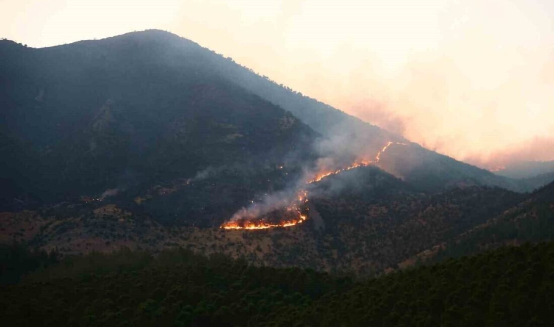 Kahramanmaraş’ta ormanlık arazide çıkan yangına, ekiplerin havadan ve karadan müdahalesinin