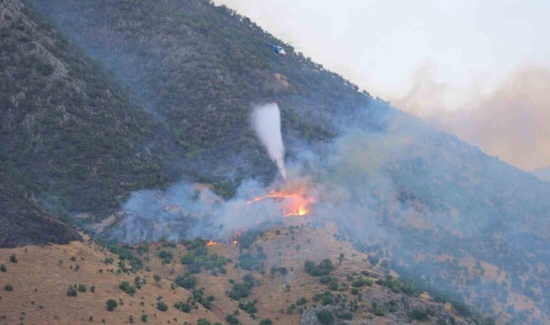 Kahramanmaraş’ta ormanlık alanda çıkan yangına havadan ve karadan müdahale sürüyor.
