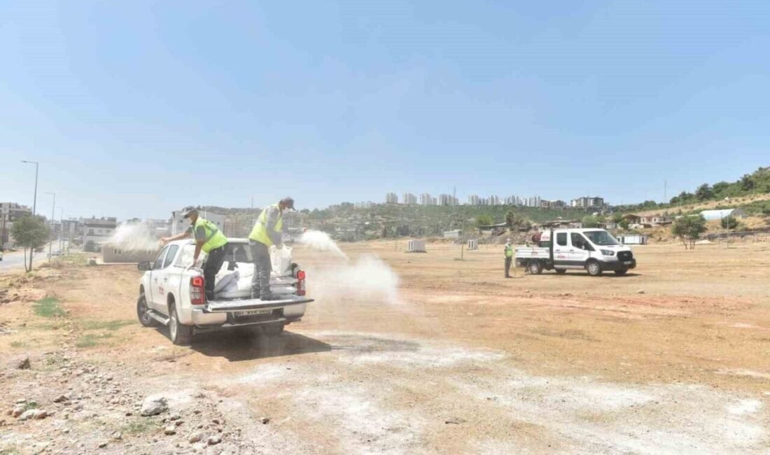 Kepez Belediyesi, Kurban Bayramı’nın ardından Fevzi Çakmak Mahallesi’ndeki küçükbaş hayvan