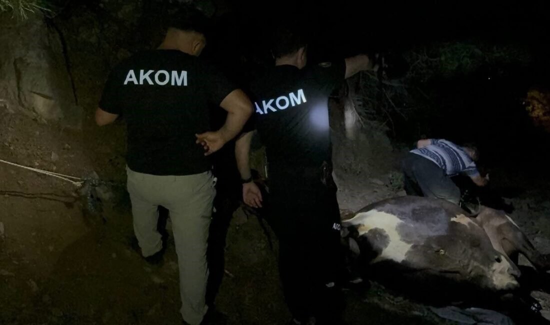 Adana’nın Kozan ilçesinde 2 gündür kayıp olarak aranan inek, kuyuda