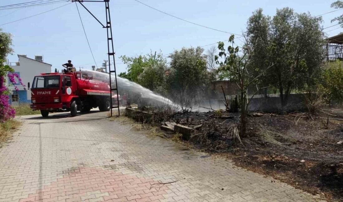 Antalya’nın Manavgat ilçesinde yoldan geçmekte olan araçtan söndürülmeden atılan sigaradan