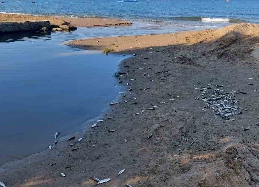 Antalya’nın Manavgat ilçesindeki Side Turizm Bölgesi Acısu mevkisinde yer alan