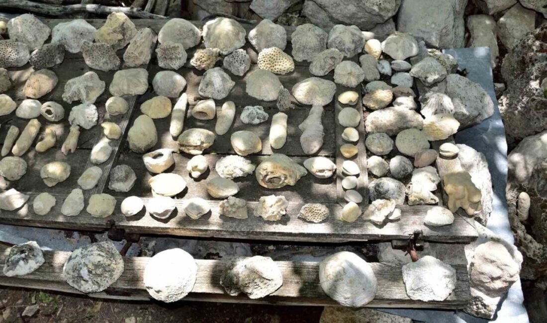 Mersin’in Mut ilçesinde fosil varlığının belirlenerek kayıt altına alınması için