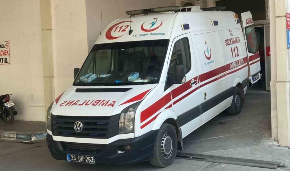 Mersin’de genelinde kurban kesimi sırasında yaralanan 275 kişi hastanelere başvurdu.