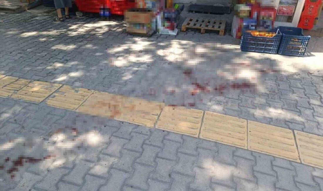 Mersin’in Mut ilçesinde kavga sırasında bir kişiyi bıçakla yaralayan şüpheli,