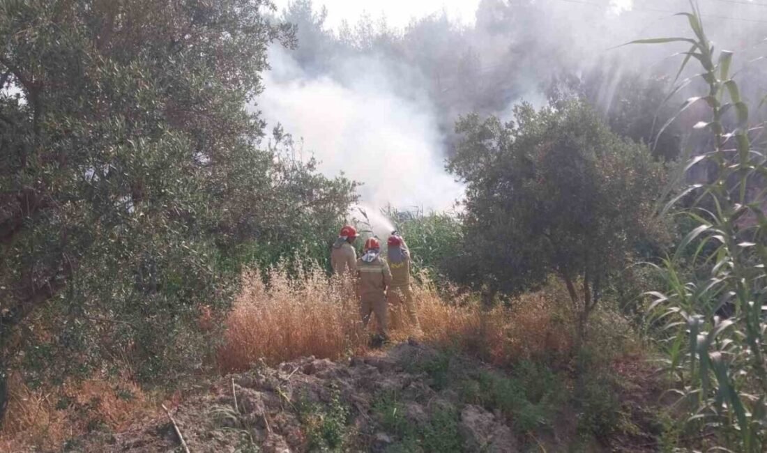 Mersin’in Mut ilçesinde ormanlık alana yakın tarım arazisinde çıkan yangın,