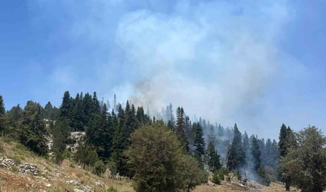 Mersin’in Erdemli ilçesinde ormanlık alanda çıkan yangın havadan ve karadan