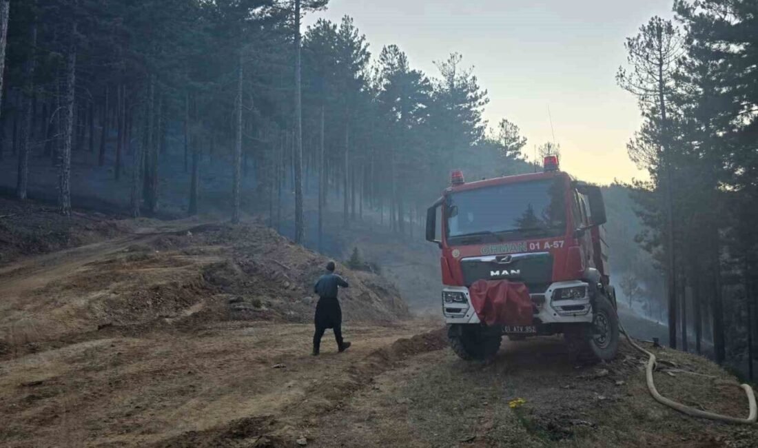 Adana’nın Feke ilçesinde çıkan orman yangını kontrol altına alındı. Alınan