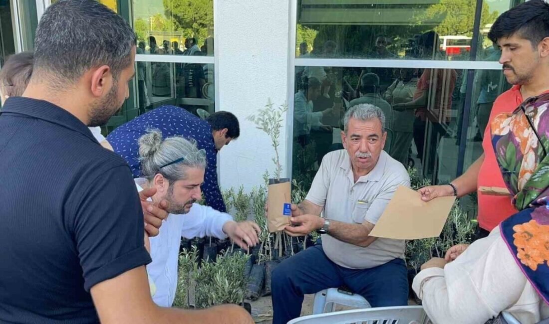 Osmaniye’de bu yıl ikincisini düzenlenen Geleneksel Sünnet Şöleni’nde, sünnet ettirilen