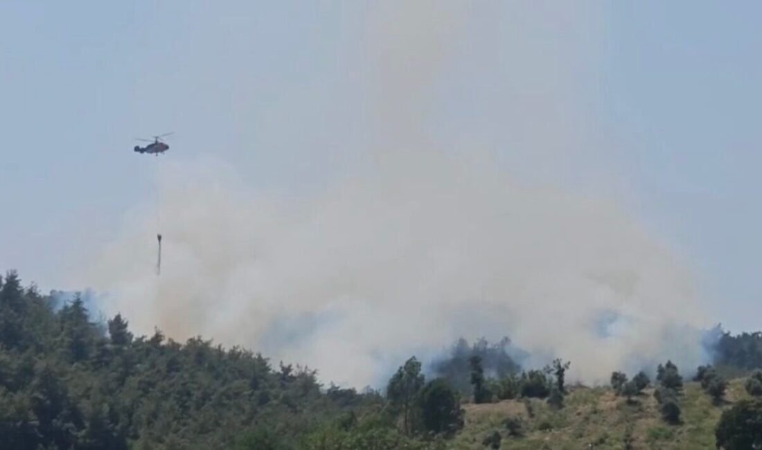 Osmaniye’nin Kadirli ilçesinde ormanlık alanda çıkan yangın havadan ve karadan