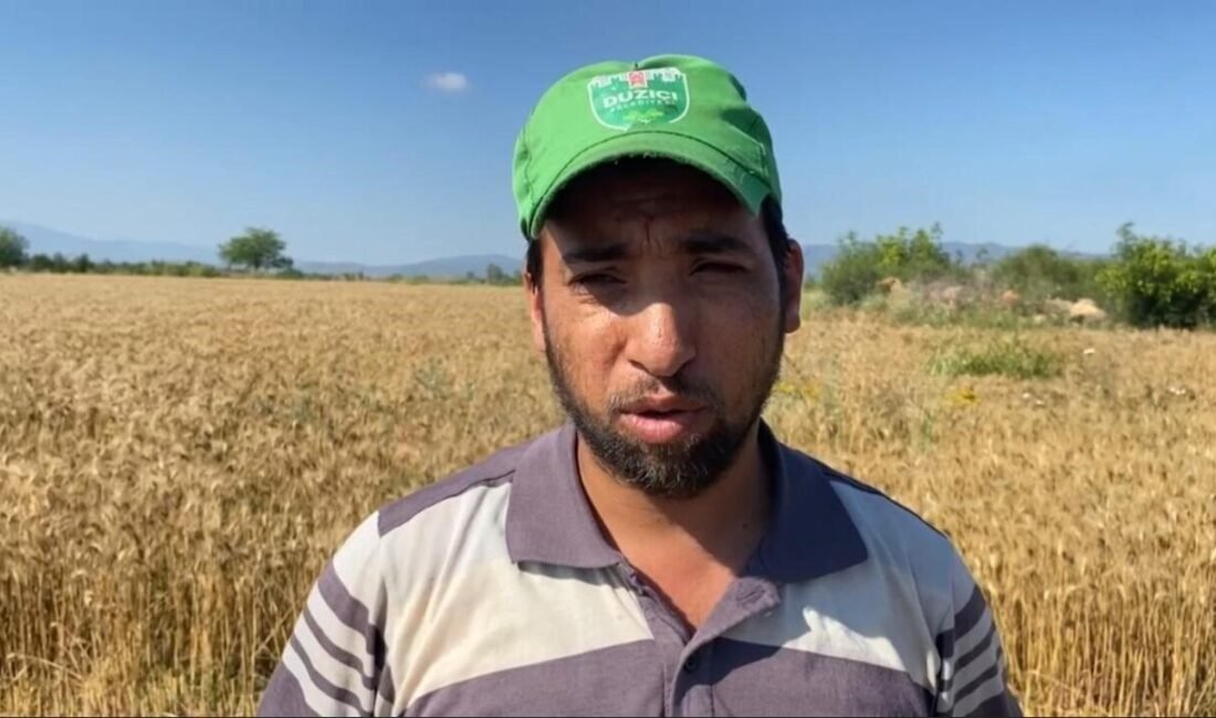 Türkiye’nin önemli tarım kentlerinden olan Osmaniye’de kuraklık ve son günlerde