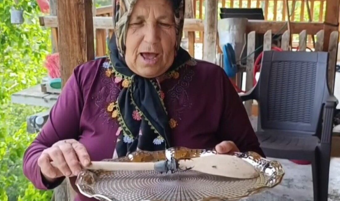 Nesli tükenme tehlikesi altında olduğu için koruma altında olan “kırmızı