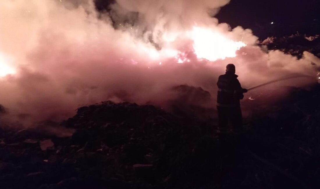 Hatay’da çöplük alanda çıkan yangın geniş alana yayılmadan söndürüldü. Yangın,
