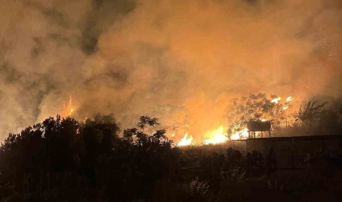 Hatay’ın Samandağ ilçesinde bir evin bahçesinde çıkan yangını itfaiye ekiplerinin