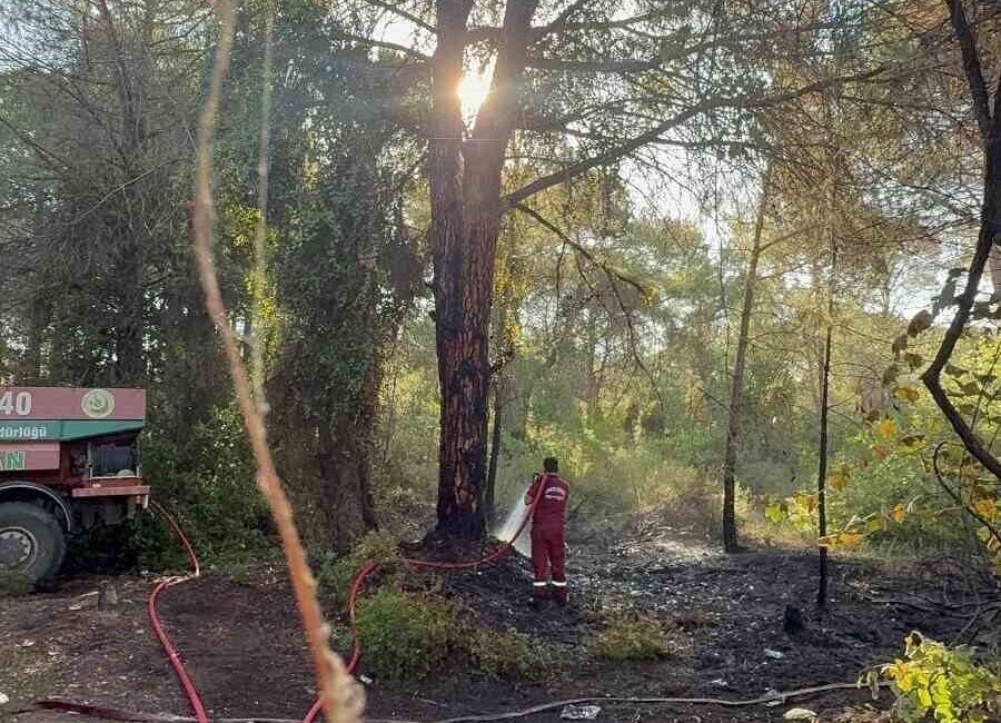Antalya’nın Serik ilçesinde sabaha karşı çıkan orman yangını kontrol altına