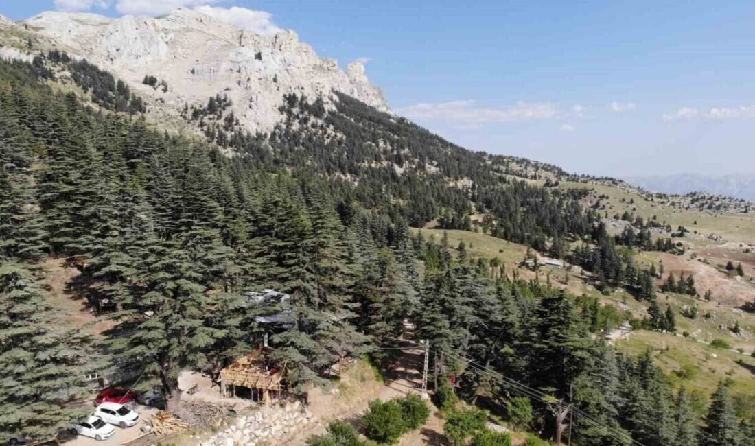 Kahramanmaraş’ta sık orman dokusu, serin havası ve doğal göletleriyle dikkat