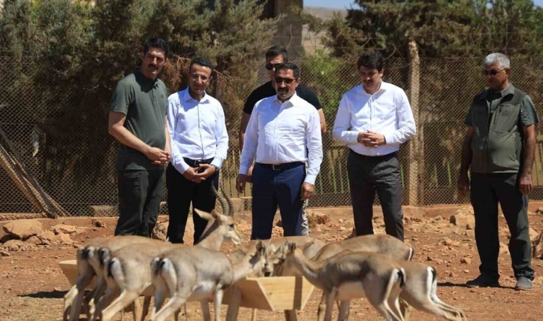 Hatay’ın Kırıkhan ilçesinde Suriye sınırının sıfır noktasında 2014 yılında kurulan