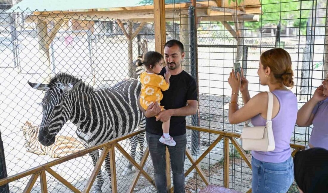 Mersin Büyükşehir Belediyesi bünyesinde hizmet veren Tarsus Doğa Parkı, Kurban