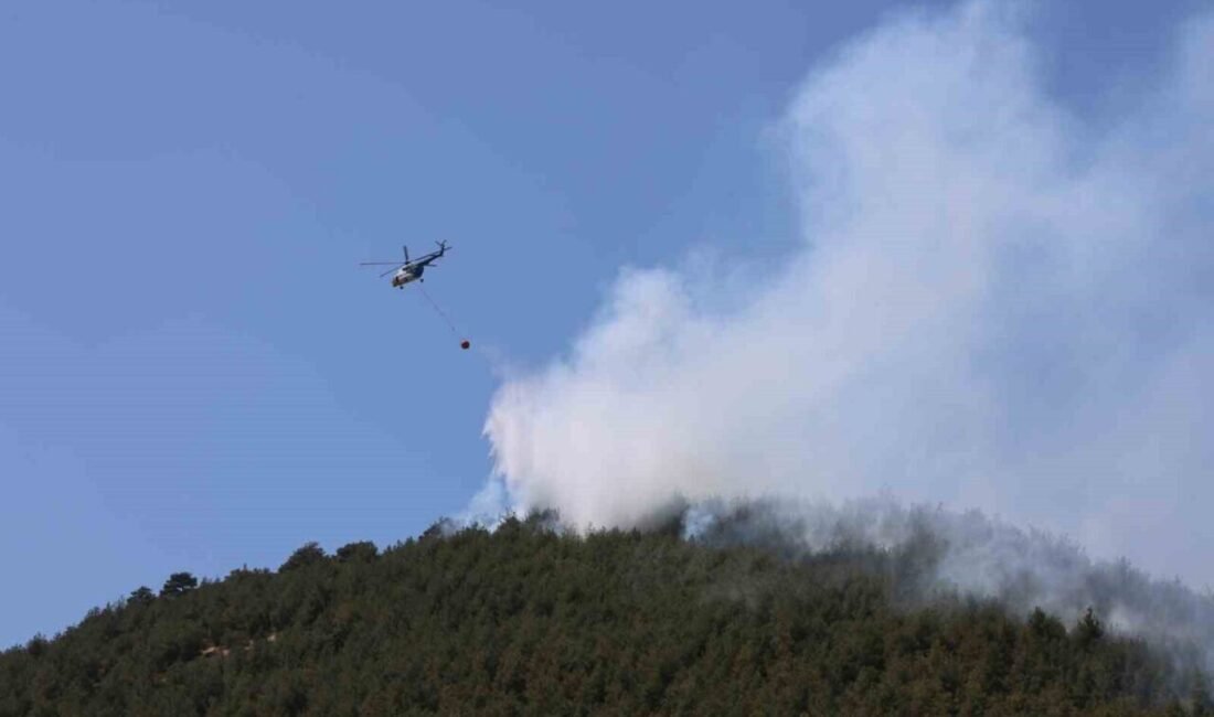 Kahramanmaraş’ın Dulkadiroğlu ilçesinde çıkan orman yangınının, anız yakılmasından kaynaklandığı bildirildi.