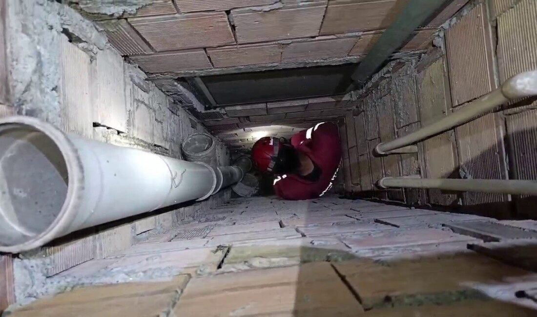 Hatay’da bir binanın 5 metrelik boşluğuna düşen yavru kedi itfaiye