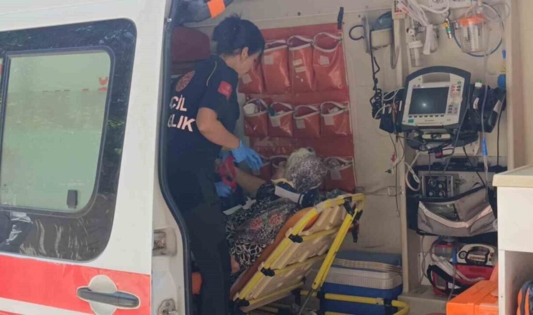 Antalya’nın Manavgat ilçesinde yaya geçidinde kamyonetin çarptığı 71 yaşındaki kadın