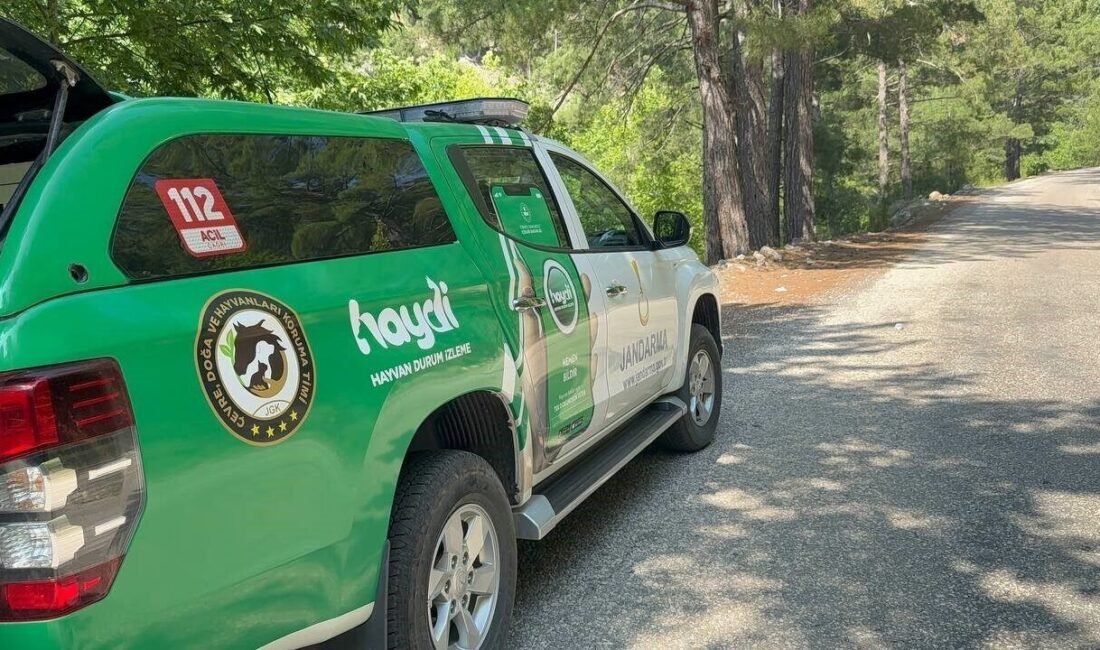 Antalya’nın Gazipaşa ilçesinde Maha Yaylası’na gitmek üzere evinden ayrılan ve