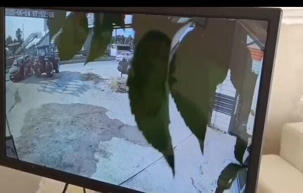 Antalya’da sabah saatlerinde iş yerine gitmek isteyen Bekir Bülbül’ün sıfır
