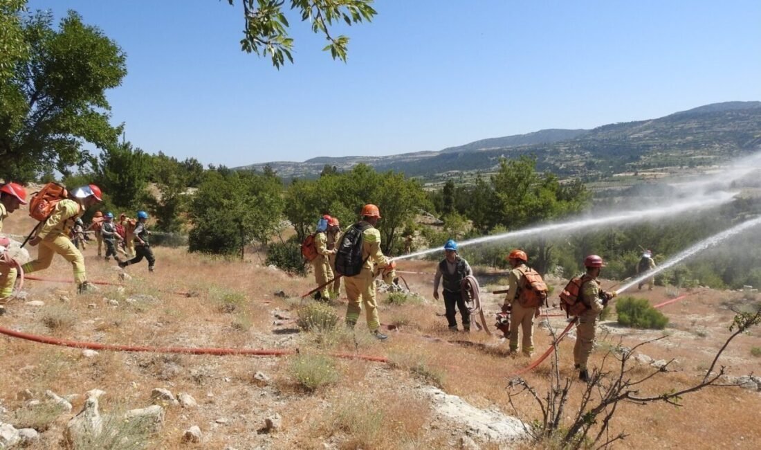 Mersin Orman Bölge Müdürlüğüne bağlı Gülnar ve Anamur Orman İşletme