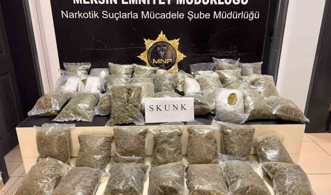 Mersin polisinin yaptığı çalışmada minibüsle yün torbaları içinde sevk edilen