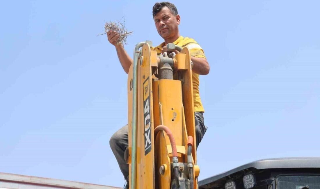 Hatay’da kepçesini kumru ve yavrularını rahatsız etmemek için çalıştırmayan operatör