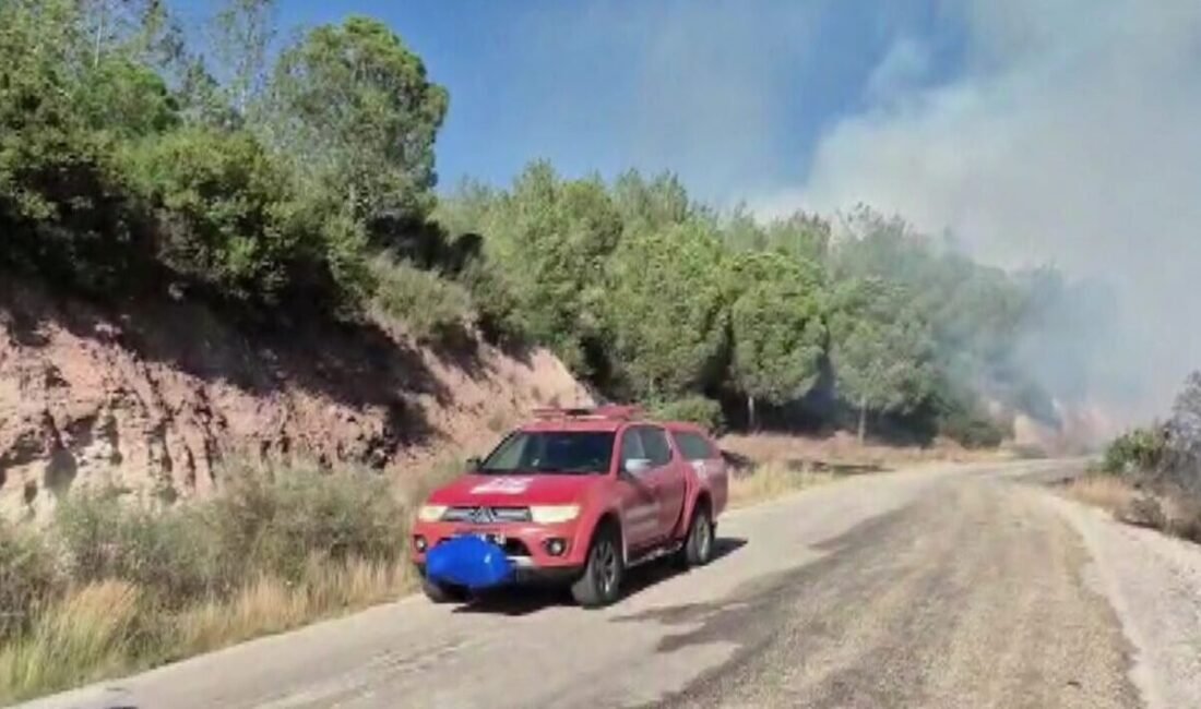 Adana’nın Ceyhan ilçesinde başlayan orman yangınına havadan ve karadan müdahale